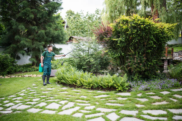 Best Pest Removal Services  in Olivarez, TX