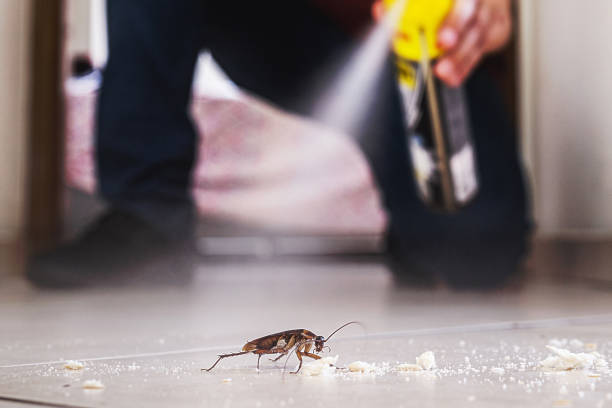 Reliable Olivarez, TX Pest Control Solutions