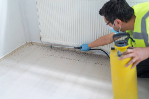 Best Exterminator Services  in Olivarez, TX